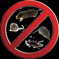 Pest Control, Що таке піст контроль control