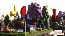 Парад квітів у Голландії параду