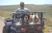 Перевезення собаки на ATV - Обладнання та екіпірування для квадроциклів собаки