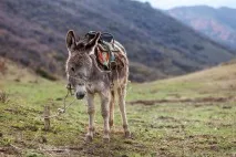 Краєвиди Киргизії, ФОТО НОВИНИ краєвиди