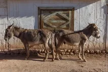 Краєвиди Киргизії, ФОТО НОВИНИ Іссик-Куль