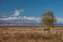 Краєвиди Киргизії, ФОТО НОВИНИ зелені