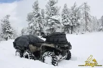 Перевезення собаки на ATV - Обладнання та екіпірування для квадроциклів екіпірування