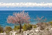 Краєвиди Киргизії, ФОТО НОВИНИ фото