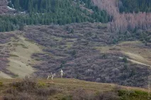 Краєвиди Киргизії, ФОТО НОВИНИ новини