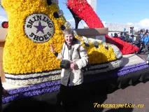 Парад квітів у Голландії голландії