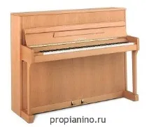 Піаніно Реніш цієї