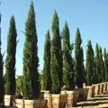 кръстословици кръстословици