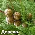 пистолет букви
