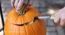 саксии веранда веранда