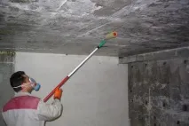 Цвіль у підвалі всі ефективні методи боротьби підвалі