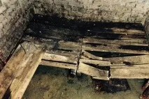 Цвіль у підвалі всі ефективні методи боротьби ефективні