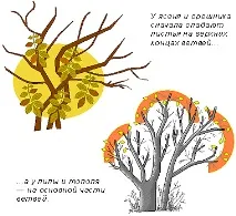падат падат