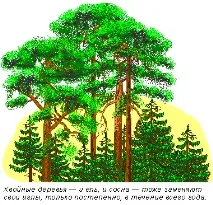 падат падат