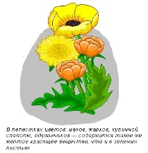 защо падат