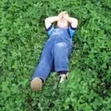 Посадка газону з конюшини та всі тонкощі догляду, Квіти, сад та город посадка