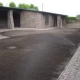 Посадка газону з конюшини та всі тонкощі догляду, Квіти, сад та город квіти
