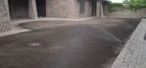 Посадка газону з конюшини та всі тонкощі догляду, Квіти, сад та город газону