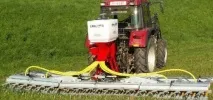 Посадка газону з конюшини та всі тонкощі догляду, Квіти, сад та город посадка