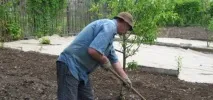 Посадка газону з конюшини та всі тонкощі догляду, Квіти, сад та город конюшини