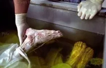 Пощекотим нерви, хочу ВСЕ знати пощекотим