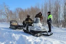шейни колко