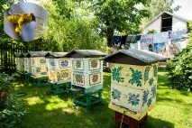 Правила утримання бджіл у населених пунктах утримання