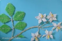 майстрів