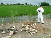Пощекотим нерви, хочу ВСЕ знати хочу