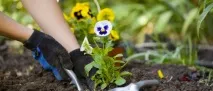 следродилна депресия следродилна