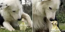 родители интересни