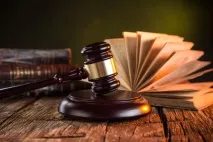 Навмисне банкрутство ознаки, процедура виявлення та наслідки навмисне