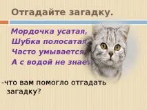 презентация помещенията