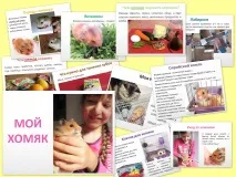моят проект