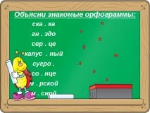 корен