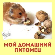 Катя може проект