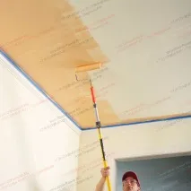 художници професионалните