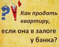 подружжя