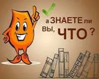 подружжя
