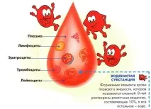 мъже жени