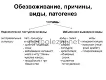 Зневоднення організму симптоми у дорослої та дитини організму