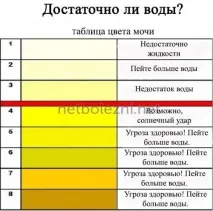 Зневоднення організму симптоми у дорослої та дитини води
