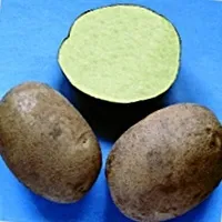 картофи картофи