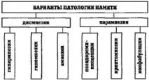 ФУНКЦІЇ