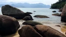 впечатления америка