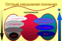 порушення