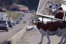 глава радар