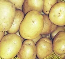 сортове картофи