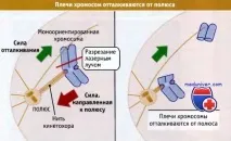 хромозомната регулиране