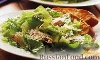 Салати, Курка з сиром, рецепти з фото на 184 рецепти рецепти